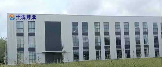 以精益為綱，筑智造基底——安徽千達(dá)襪業(yè)新廠房布局規(guī)劃