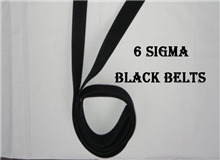 關于六西格瑪?shù)氖笾R點