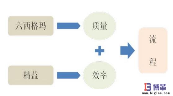 精益六西格瑪 精益六西格瑪